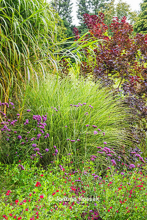 Great Comp Garden in Autumn