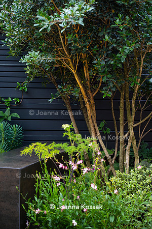 Wandsworth garden. Designed by Tony Woods/ Garden Club London, All Photos © Joanna Kossak