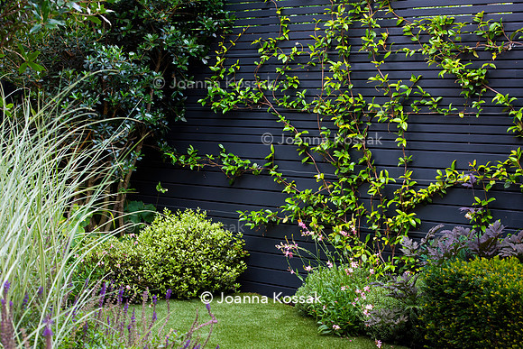 Wandsworth garden. Designed by Tony Woods/ Garden Club London, All Photos © Joanna Kossak