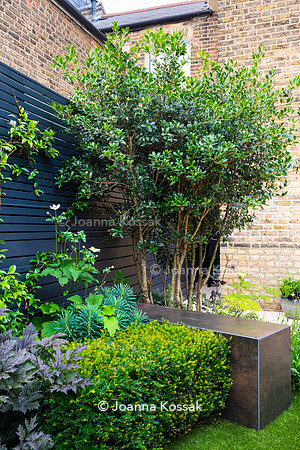 Wandsworth garden. Designed by Tony Woods/ Garden Club London, All Photos © Joanna Kossak