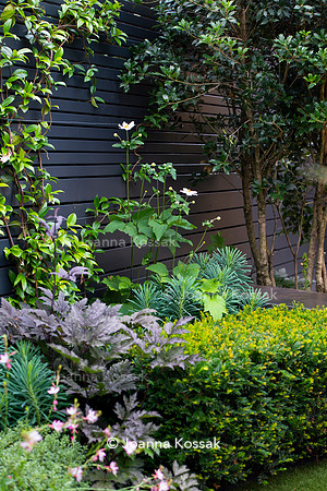 Wandsworth garden. Designed by Tony Woods/ Garden Club London, All Photos © Joanna Kossak