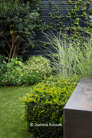 Wandsworth garden. Designed by Tony Woods/ Garden Club London, All Photos © Joanna Kossak