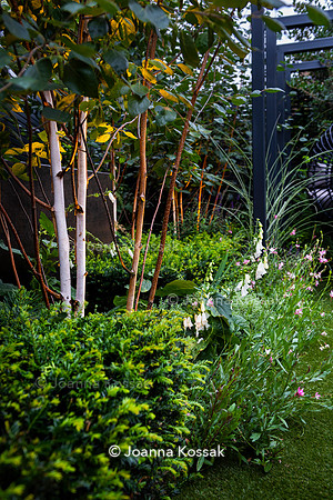 Wandsworth garden. Designed by Tony Woods/ Garden Club London, All Photos © Joanna Kossak