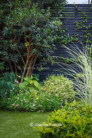 Wandsworth garden. Designed by Tony Woods/ Garden Club London, All Photos © Joanna Kossak