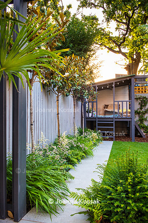 Small family garden in Ealing. Designed by Chris Harrington, All Photos © Joanna Kossak