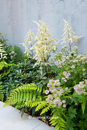 Small family garden in Ealing. Designed by Chris Harrington, All Photos © Joanna Kossak