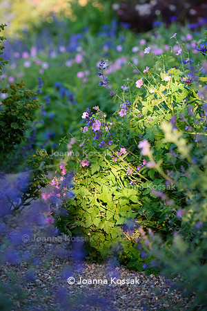 Old Vicarage, Designer Kate Smith, All Photos © Joanna Kossak