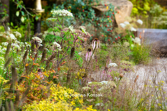 The M&G Garden, Desiners: Charlotte Harris and Hugo Bugg