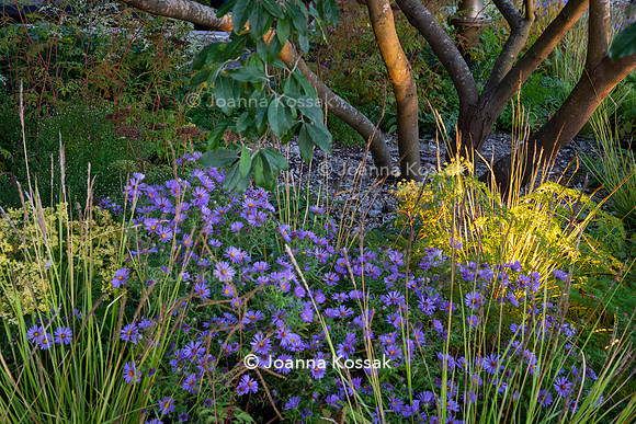 The M&G Garden, Desiners: Charlotte Harris and Hugo Bugg