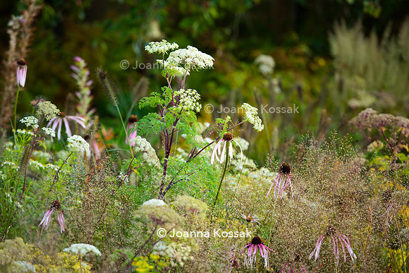 The M&G Garden, Desiners: Charlotte Harris and Hugo Bugg
