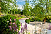Hampton Flower Show 2021