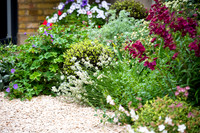 Wimbledon Garden. Designed by Tony Woods/ Garden Club London, All Photos © Joanna Kossak