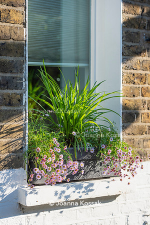 Kensal Garden. Designed by Maitanne Hunt. All Photos © Joanna Kossak