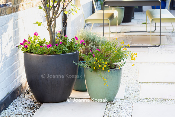 Kensal Garden. Designed by Maitanne Hunt. All Photos © Joanna Kossak