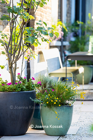 Kensal Garden. Designed by Maitanne Hunt. All Photos © Joanna Kossak