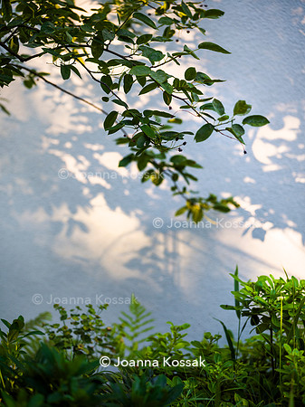 Edge Hill garden. Designer Tom Howard. All Photos © Joanna Kossak