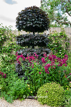 Wimbledon Garden. Designed by Tony Woods/ Garden Club London, All Photos © Joanna Kossak