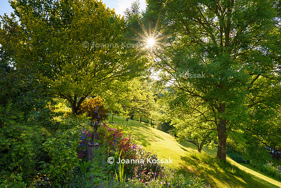 Old Vicarage, Designer Kate Smith, All Photos © Joanna Kossak