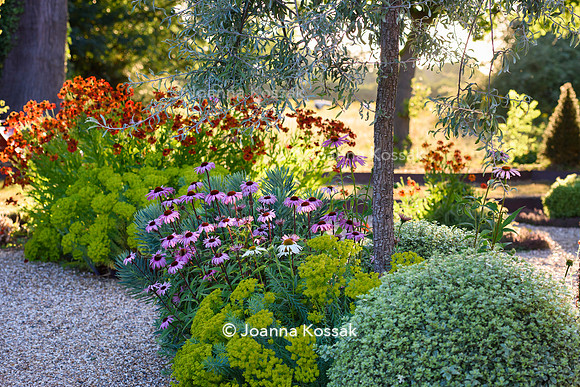 Weston Green/ Esher. Designed by Maitanne Hunt, All Photos © Joanna Kossak