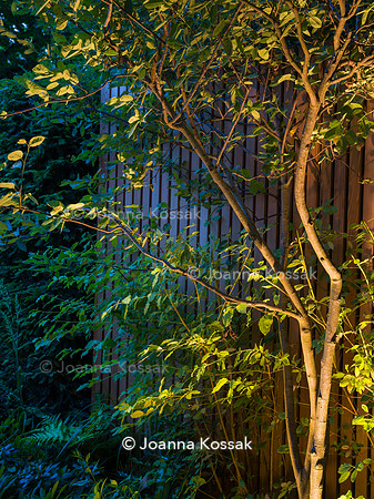 Edge Hill garden. Designer Tom Howard. All Photos © Joanna Kossak
