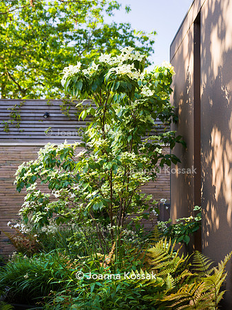 Designer Tony Woods, Qian Gao/ Garden Club London All photos ©Joanna Kossak