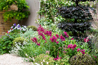 Wimbledon Garden. Designed by Tony Woods/ Garden Club London, All Photos © Joanna Kossak