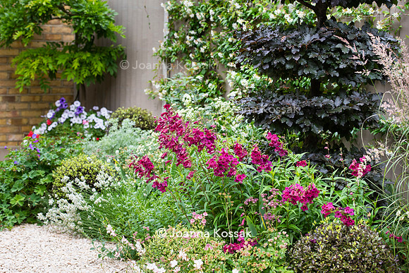 Wimbledon Garden. Designed by Tony Woods/ Garden Club London, All Photos © Joanna Kossak