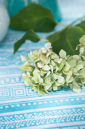 Fabrics designed by FABRIQA