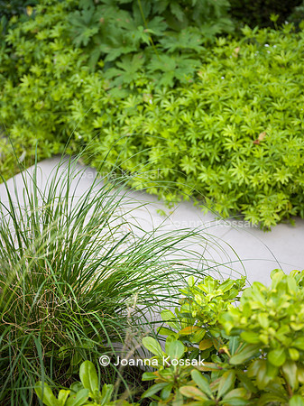Edge Hill garden. Designer Tom Howard. All Photos © Joanna Kossak