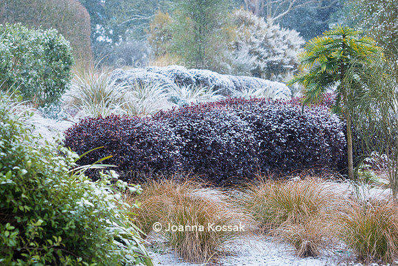 Hyde Hall Garden
