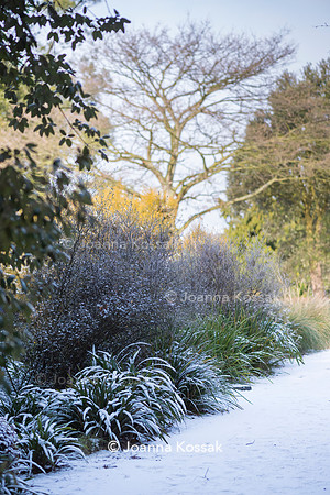 Hyde Hall Garden
