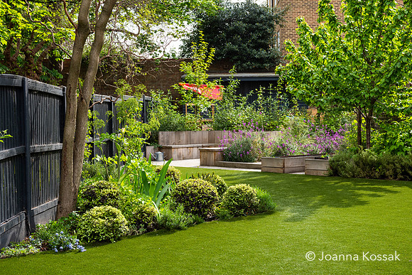 Camberwell garden in Summer