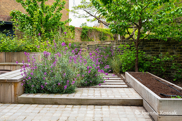 Camberwell garden in Summer