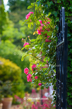 Old Vicarage, Designer Kate Smith, All Photos © Joanna Kossak