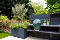 Camberwell garden in Summer