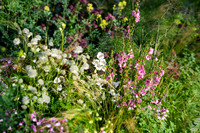 The Viking Friluftsliv Garden, Designed by Will Williams