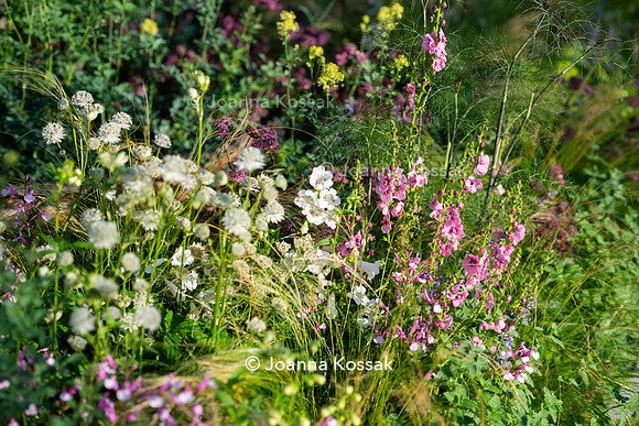 The Viking Friluftsliv Garden, Designed by Will Williams