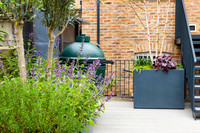 Camberwell garden in Summer