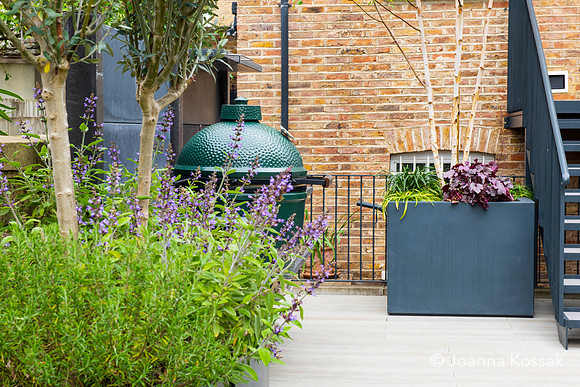 Camberwell garden in Summer