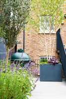 Camberwell garden in Summer
