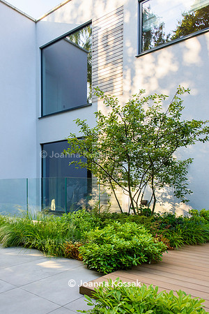 Edge Hill garden. Designer Tom Howard. All Photos © Joanna Kossak