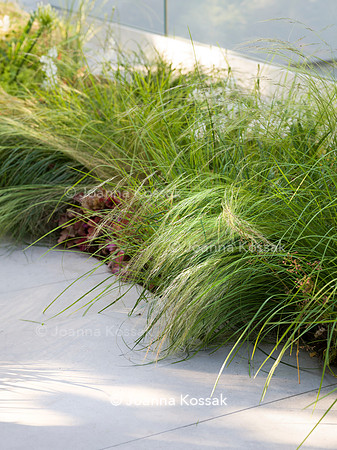 Edge Hill garden. Designer Tom Howard. All Photos © Joanna Kossak