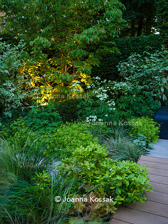 Edge Hill garden. Designer Tom Howard. All Photos © Joanna Kossak