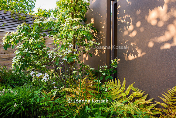 Designer Tony Woods, Qian Gao/ Garden Club London All photos ©Joanna Kossak