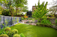 Camberwell garden in Summer