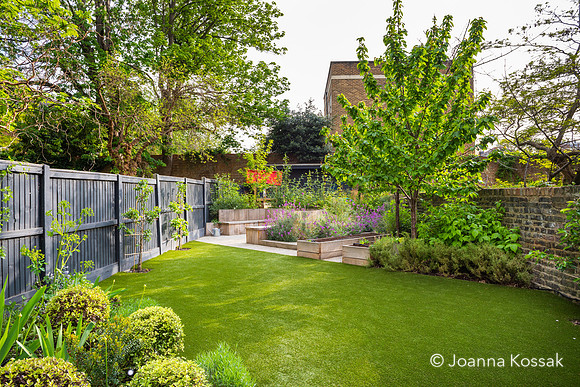Camberwell garden in Summer