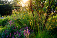 Old Scholl House garden, Designer Matthew Childs, All Photos © Joanna Kossak