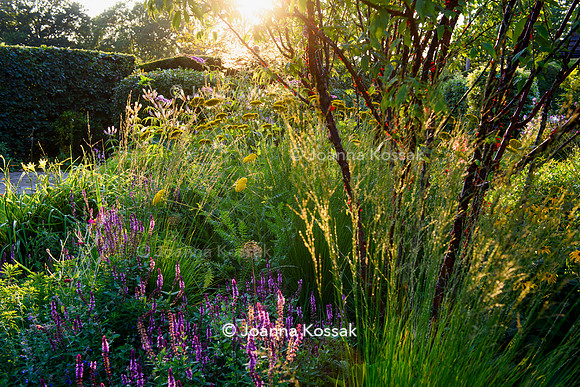 Old Scholl House garden, Designer Matthew Childs, All Photos © Joanna Kossak