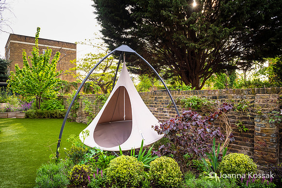 Camberwell garden in Summer