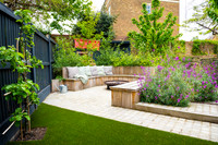 Camberwell garden in Summer